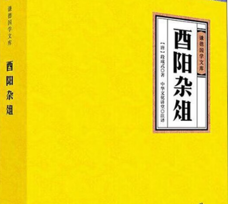 酉阳杂俎外的诗性微光：解码段成式寄温飞卿笺的孤篇绝唱