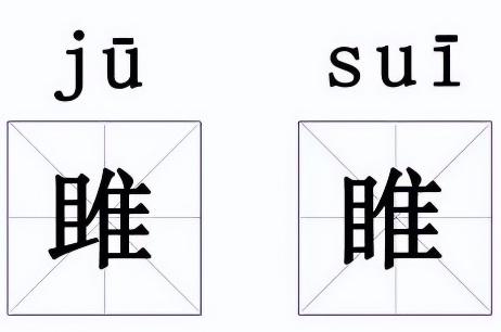 睢雎之辨：千年汉字中的形音义密码