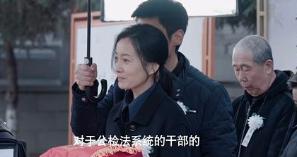 以法之名第27集分集剧情