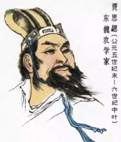 贾思勰：中国古代农学的集大成者