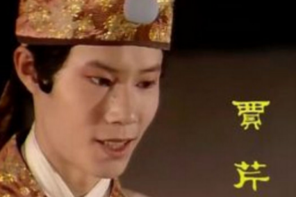 贾芹：贾府远房纨绔的堕落镜像