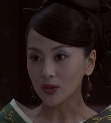 傅昭仪与山阳王：西汉宫廷中的母子权谋与情感羁绊
