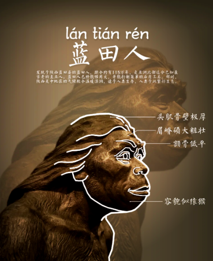 蓝田猿人比北京人早吗？——从地质年代与考古发现看中国直立人的演化脉络