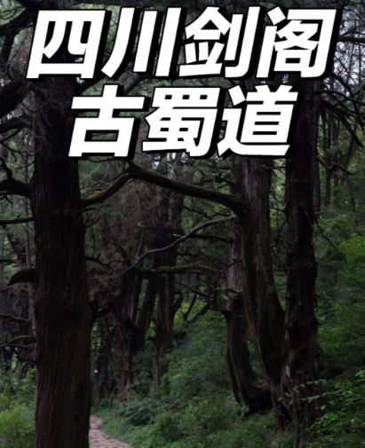 蜀道剑阁：千年雄关的地理坐标与文明密码