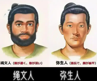 绳文人为什么像西方人：基因、迁徙与文化交织的谜题