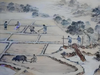 中国最早的屯田制：西汉时期的制度萌芽与历史演进