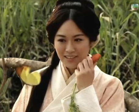 羽扇轻摇处，琴瑟共长鸣：解码诸葛亮与黄月英的旷世真情