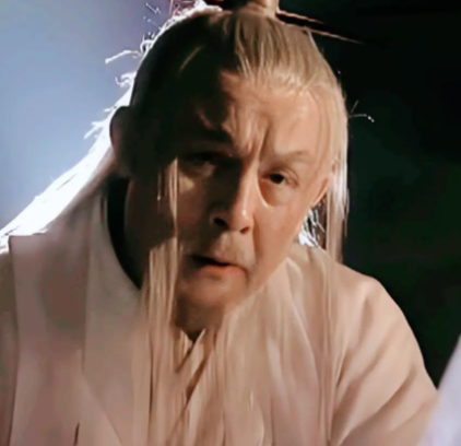 无崖子的血脉之谜：王夫人身世背后的爱恨纠葛