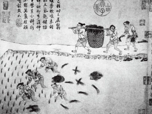 北魏均田制：农业恢复的“及时雨”