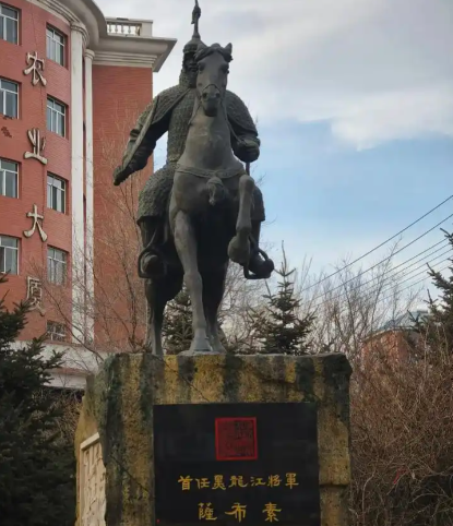 铁血戍北疆：萨布素的抗俄传奇与边疆丰碑