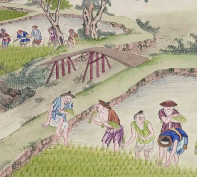 汉时暖室藏春意：解码先民反季种植的超前智慧