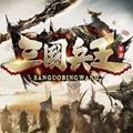三国兵王