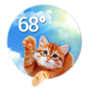 猫猫天气