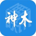 掌上神木