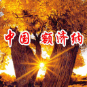 中国额济纳