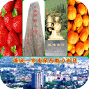 魅力新区满城