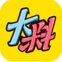 大料