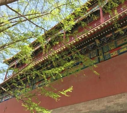 故宫哪些地方不能拍照？都有哪些禁忌？