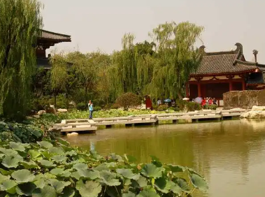 杨玉环的华清池在哪里？两者是什么关系？