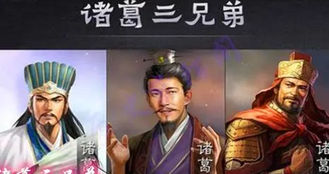 诸葛三兄弟为何效力三个主公？分别是哪三个势力？