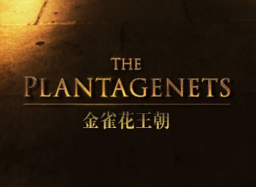 金雀花王朝的标志是什么？有何特殊含义？