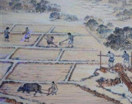 实行初税亩是哪个国家？是如何记载的？