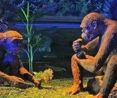 北京人和山顶洞人有什么不同？区别在哪？