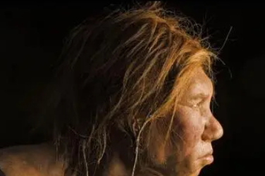  智人灭绝了哪些人种？是如何记载的？