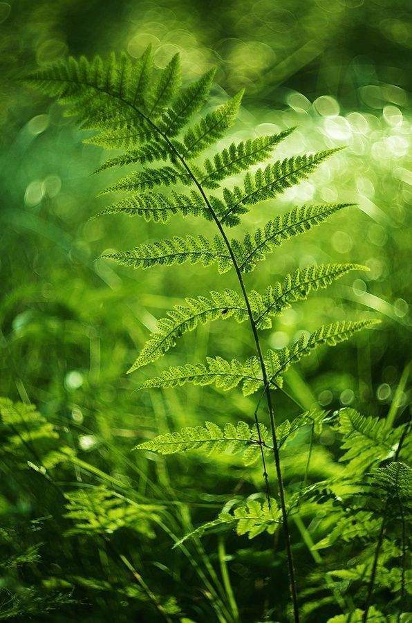 宋代诗人黎廷瑞的十首诗词，哪一首是你的最爱？