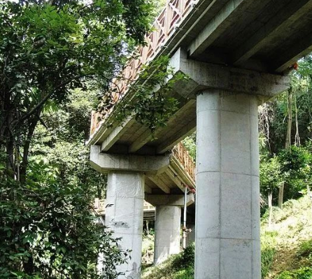 驰道和直道的区别是什么？两者是同一个类型吗？