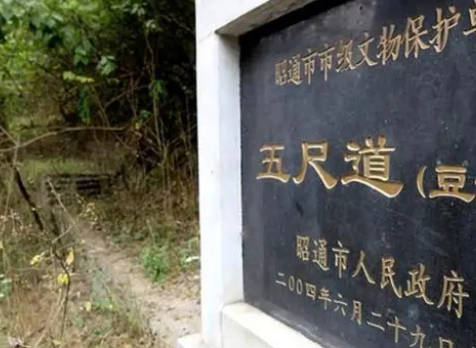 秦修驰道和直道有什么区别？区别有多大？