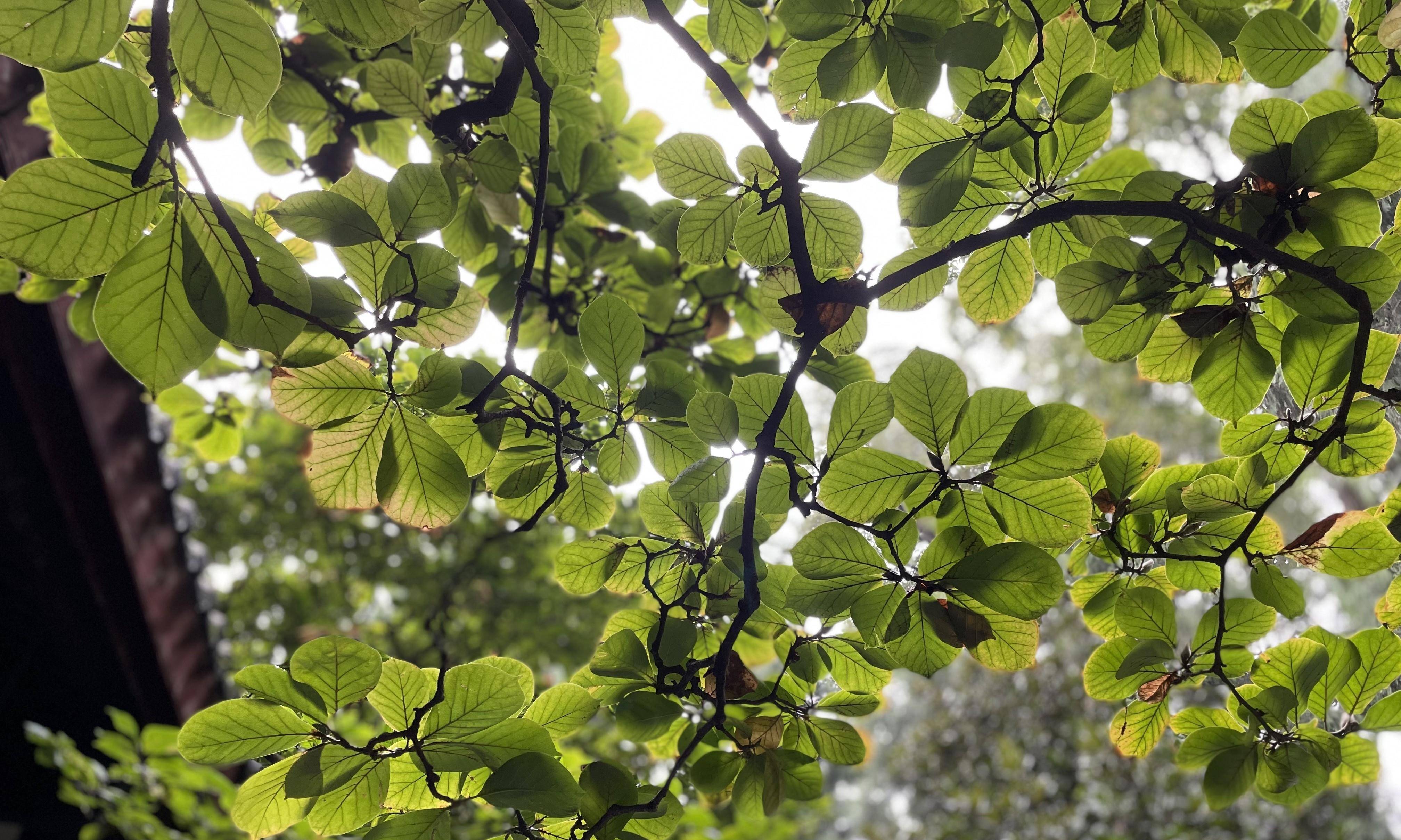 重走阴平小道，探寻江油关蜀汉的命运