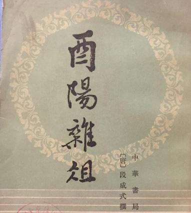 酉阳杂俎的拼音是什么？应该怎么读？