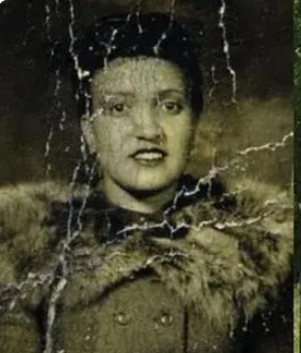 海拉细胞是什么样的？对人类有哪些贡献？