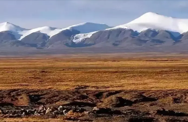 中国一共有几个无人区？这些地方有何特殊之处？