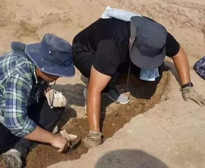 为什么考古人员都短命？短命的原因是什么?
