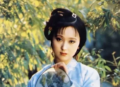 黛玉葬花表达了什么？意义是什么？