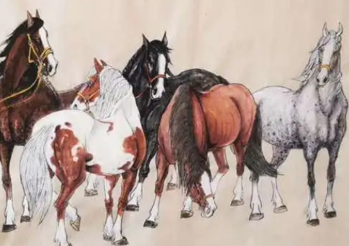 名家是什么样的？有什么评价？