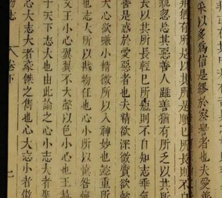 小说家学派代表人物有谁？产生了什么样的影响？