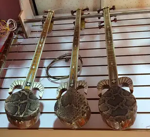 热瓦普几根弦？数量是固定的吗？