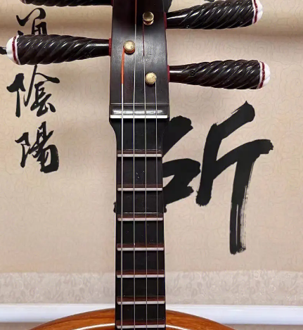 为什么中阮没人学？中阮很难学吗？