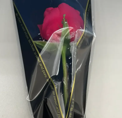  国际妇女节是什么节日？时间是什么时候？