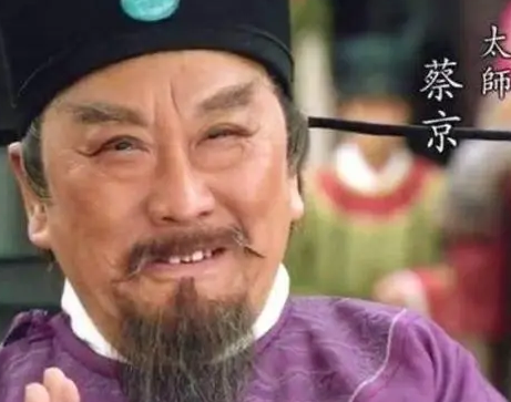 蔡京干了什么？背景和经历如何？