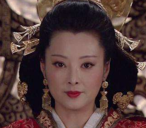 定陶太后和王政君的关系如何？有直接联系吗？