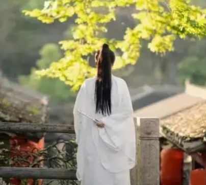辛弃疾的著名诗是什么？有什么含义？