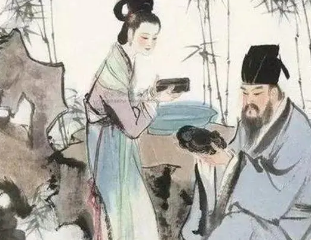 王朝云是苏轼老婆的丫鬟吗？王朝云和苏轼究竟是什么关系？