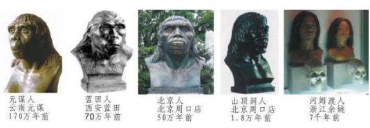 中国人的祖先是谁：元谋人、蓝田人、北京人还是山顶洞人？