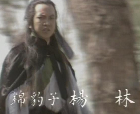 杨林的主要事迹是什么？水浒传中又是什么样的？
