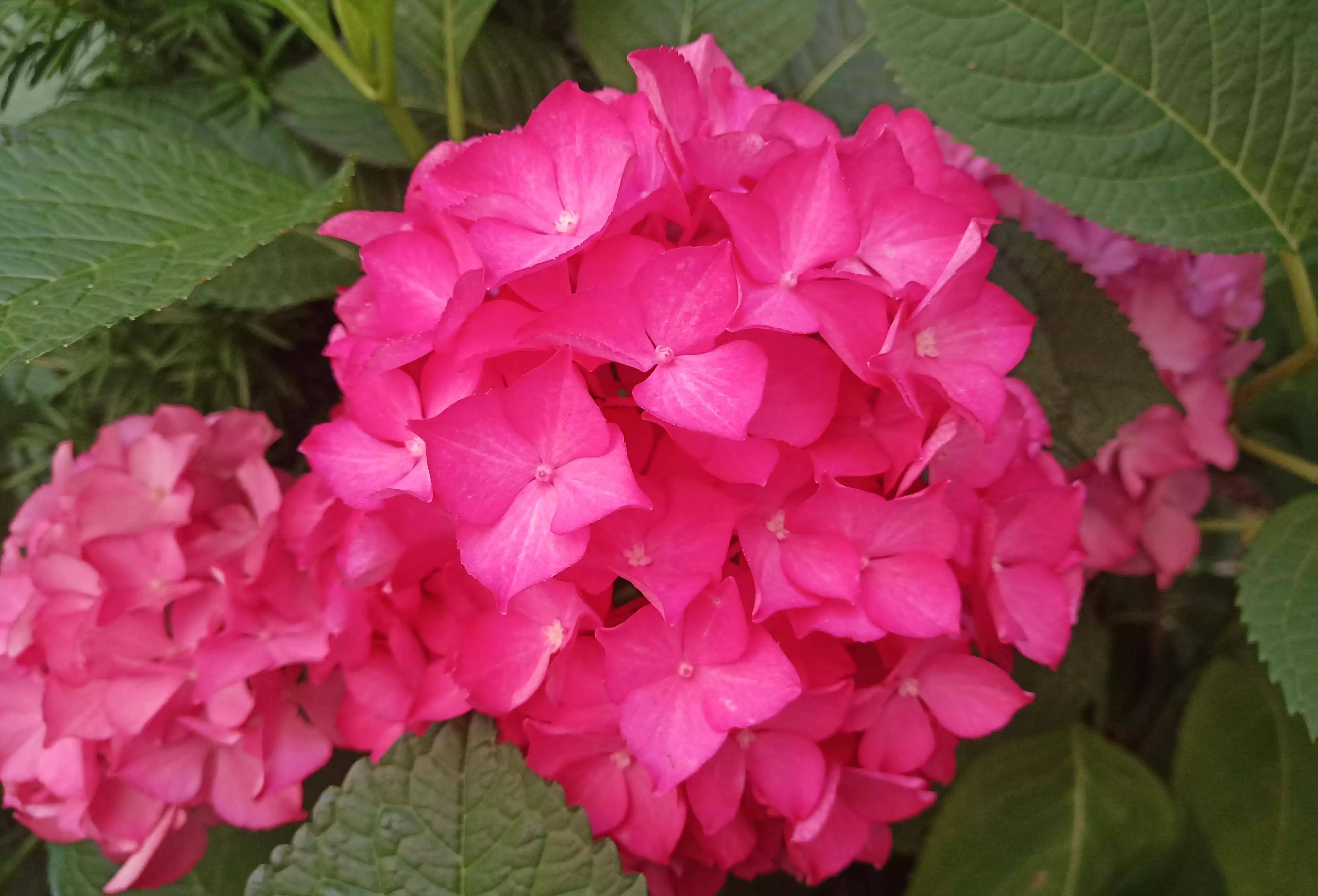 管仲与晏子的故事：历史上的智慧与辩论