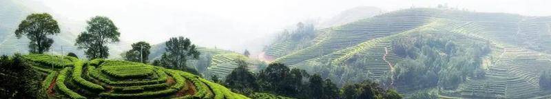 贾南风借刀杀人，西晋王朝陷入危机